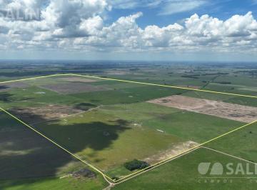 Campo · 13800000ha · 1380 Ha Campo Mixto S/ Ruta 7 en San Andres de Giles