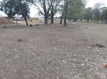 Campo · 47000ha · Chacra en Venta, 4.7has, en Baradero, Provincia de Buenos Aires