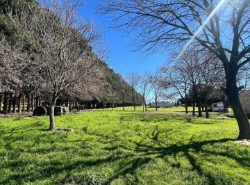 Campo · 47000ha · Chacra en Venta, 4.7has, en Baradero, Provincia de Buenos Aires