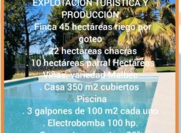 Bodega-Galpón , Ugarteche · Finca en Venta