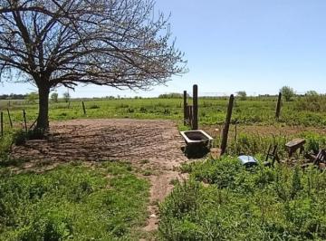 Campo · 3m² · Campo de 3,88 Ha en San Nicolas (Sobre Camino Nacion)