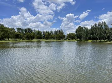 Terreno · 11000m² · Venta - Terreno - San Miguel del Monte - Chacras de Abbott - 11.000 m²