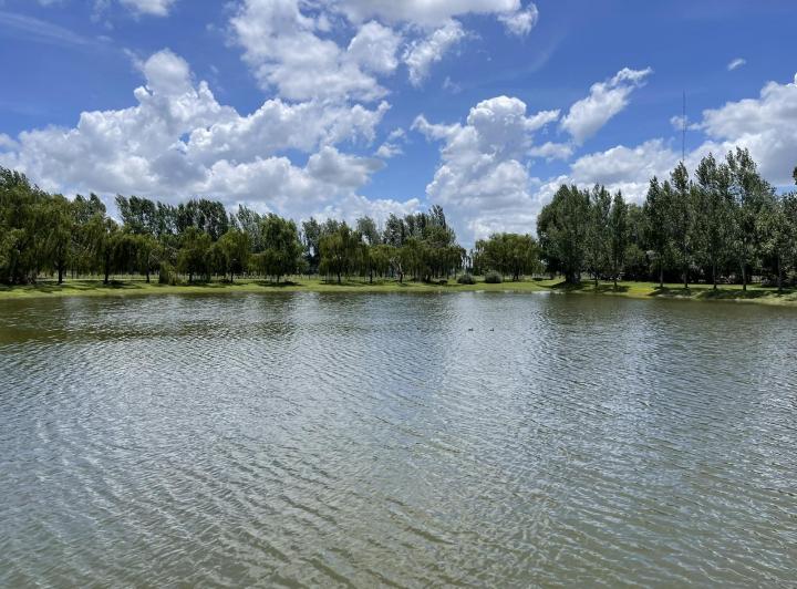Terreno · 11000m²