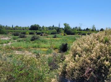 Campo · 30000m² · Finca en Venta de 3.7 Hectáreas, San Roque, Maipú