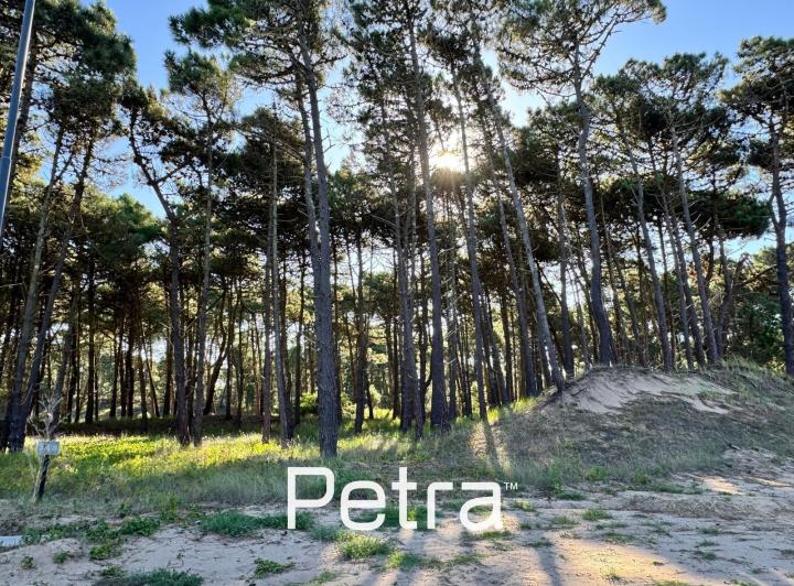 Terreno · 1099m²