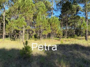 Terreno · 1037m² · Terreno en Venta en Pinamar. Barrio Bosques