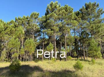 Terreno · 1064m² · Terreno en Venta en Pinamar. Barrio Bosques