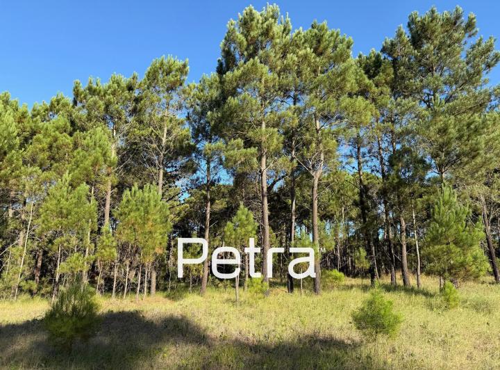 Terreno · 1064m²