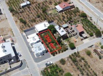 Terreno , Cafayate · Terreno en Barrio El Transito Cafayate