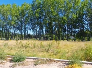Terreno , General Fernández Oro · Terreno de 360 m² en Venta en Catalpa - Fernández Oro