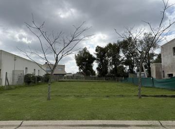 Foto Principal · Lote Venta Barrio Santa Emilia - Interno - 503 m² #id 18211