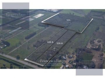 Terreno · 122447m² · Terreno en Venta Sobre Ruta 25
