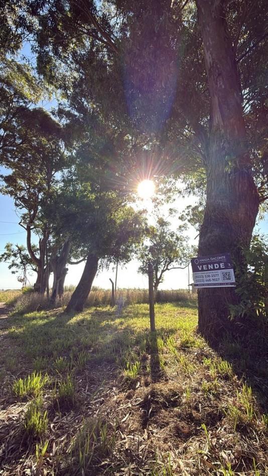 Lote 262m² en barrio Félix U Camet con escritura y todos los papeles al día