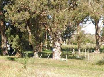 Terreno , Miramar · Lote en Parque Bristol