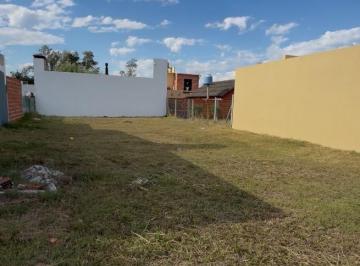 Terreno · 330m² · Terreno en Nuevo Loreto