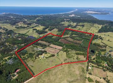Campo · 750m² · Chacra Punta Ballena - 72 Ha Ubicación Privilegiada