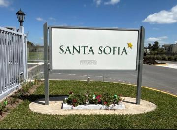 Terreno · 524m² · Venta Terreno - en Santa Sofia Pilar del Este