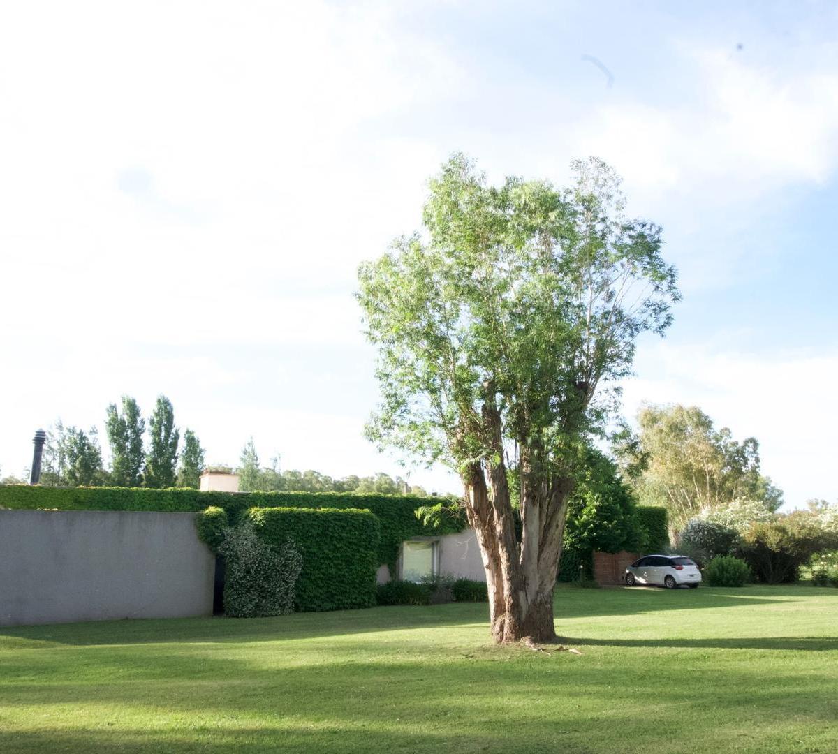 Ruta 9, Km 137, B2942 Baradero, Provincia De Bueno