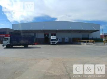 Bodega-Galpón · 1950m² · Excelente Deposito en Centro Multi - Cliente