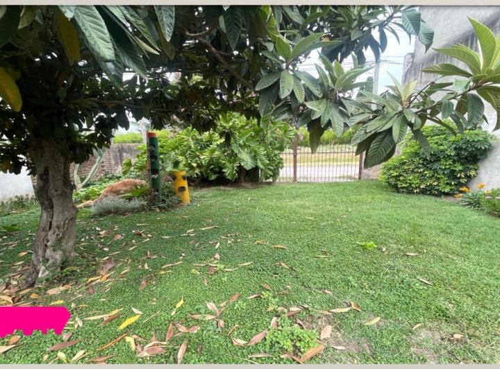 Terreno · 229m²