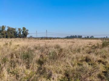 Campo · 83000m² · Campo en Venta - 83.000 m² - Florencio Varela