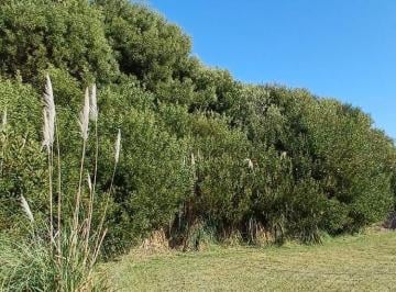 Terreno · 1127m² · Venta de Lote Golf - Costa Esmeralda