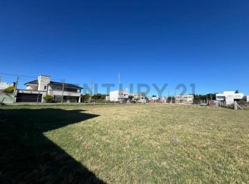 Terreno · 531m² · Venta de Lote en Gonnet 4 y 499