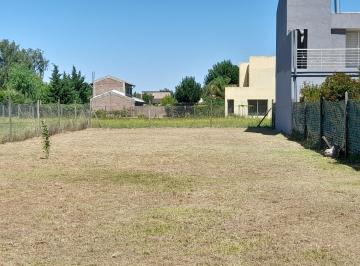 Local comercial · 592m² · Lote en Las Tardes - Roldan