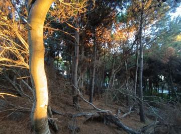 Terreno · 1152m² · Lote en Venta en Costa Esmeralda, Barrio Residencial 2 Cerca del Mar