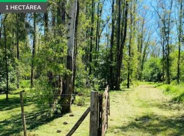 Terreno · 10000m² · Lote de 1 Hectarea en Estancia Estrella Federal