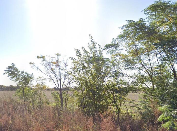 Campo · 120000m²