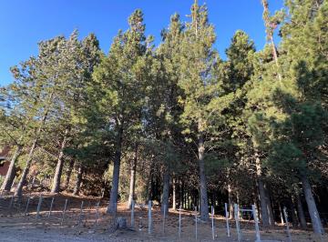 Terreno , San Martín de los Andes · Terreno en Venta en Ruca Hue – 2.004 m² en Cul de Sac, Entorno Natural Único