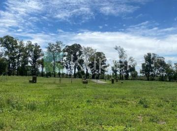 Terreno · 507m² · Venta de Lote en Santa Sofía, Pilar del Este, Pilar