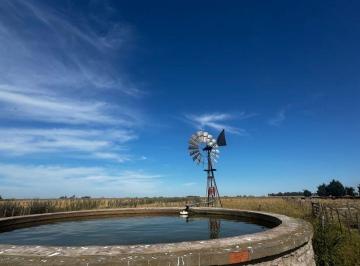 Campo , Rauch · Campo Ganadero - 284has - 0.80 en Vaca - Luz Eléctrica