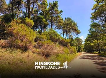 Terreno , Cariló · Lote en Venta en Cariló