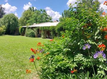 Casa de 7 ambientes, San Antonio de Areco · Hermosa Casaquinta con Amplio Parque en Venta en San Antonio de Areco