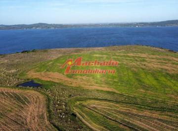 Foto1 · Venta de Chacra en Punta del Este