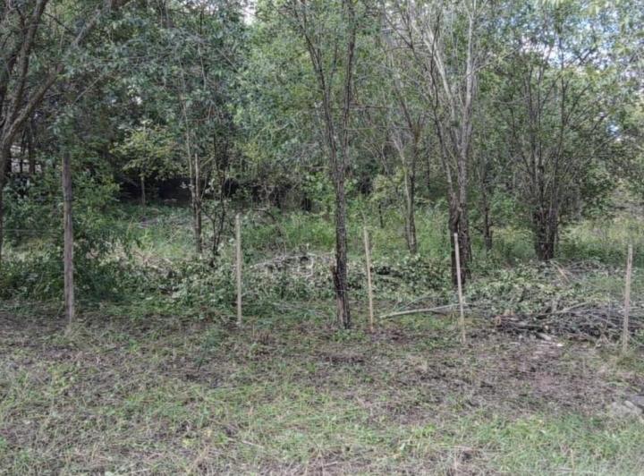 Terreno · 930m²