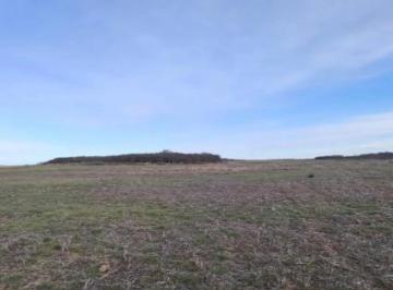 Campo · 9400000m² · 3 Ambientes · Campo en Venta - 940 Hectáreas - San Luis