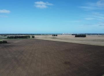 Campo · 5370000ha · Campo en Venta - 537 Hectáreas - General Alvarado