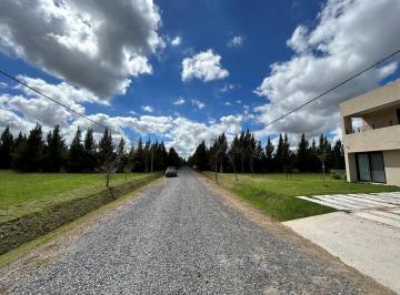 Terreno · 1000m² · Terreno Lote en Venta en Coronel Brandsen, G. B. a. Zona Sur, Argentina
