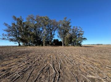 Campo · 419000m² · Villa Angelica Estación El Socorro Pergamino - Venta Campo Agrícola