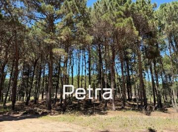 Terreno · 928m² · Terreno en Venta en Villarobles. Serena Lote 148