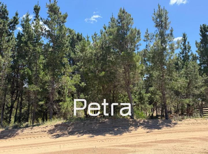 Terreno · 1171m²