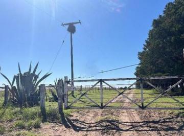 Campo · 5210000m² · Campo en Venta - 521 Hectáreas - La Pampa