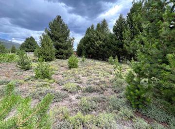 Terreno · 1000m² · Terreno Lote en Venta en Villa Lago Meliquina, San Martin de Los Andes, Patagonia