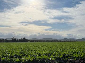 Campo , Malagueño · Venta 47 Hectáreas Malagueño