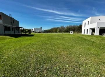 Terreno · 975m² · Terreno en Venta - 800 m² - Cañuelas