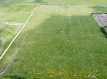 Campo · 167400m² · Campo en Venta - 163.400 m² - Navarro