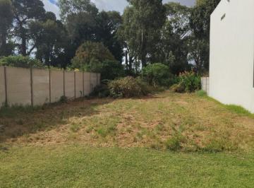 Terreno · 340m² · Lote Barrio Las Margaritas